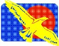 Soaring eagle