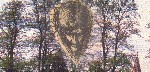 Trees w/floating head of Jesus